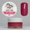 Luxury Paint Color Gel 024 - Lollypop